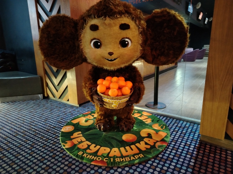 Любимый Томск - Социальная сеть города Томска - LTOMSK.ru