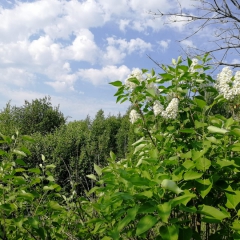 Дмитрий Медведев
